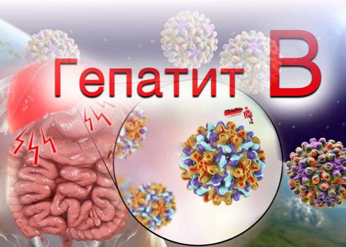 Гепатит B