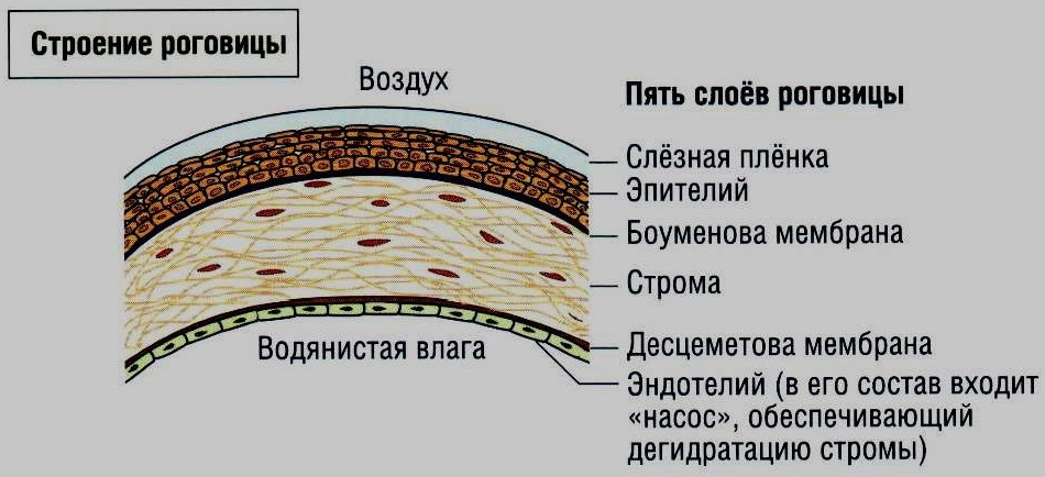 Бельмо на глазу код мкб